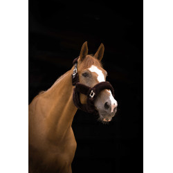 Caveção Equithème Teddy Preto / castanho