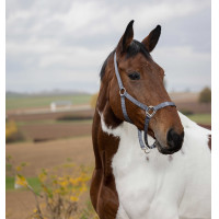 Caveção Equithème Nylon Azul-marinho