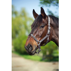 Caveção Equithème Nylon Cinza escuro Cinzento