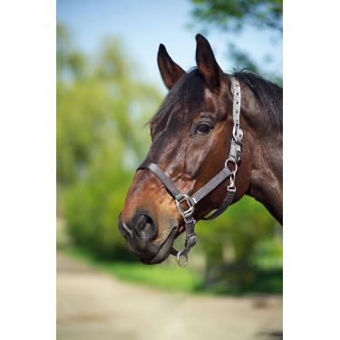 Caveção Equithème Nylon Cinza escuro Cinzento