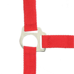 Conjunto de cabeçada e rédea Club Conjunto de cabeçada e rédea Club