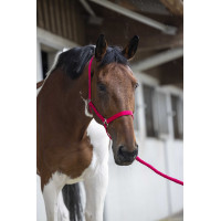 Conjunto de cabeçada e rédea Club Azul-marinho