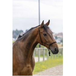 Caveção etológico corda Fina Preto Caveção etológico corda Fina Preto