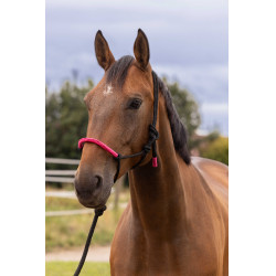 CABEÇÃO ETOLÓGICO + CABRESTO FUN COLOUR Fúcsia neon Rosa CABEÇÃO ETOLÓGICO + CABRESTO FUN COLOUR Fúcsia neon Rosa