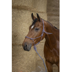 Cabezada etológica Norton + corda Eco Cinza / framboesa / preto Cinzento Cabezada etológica Norton + corda Eco Cinza / framboesa / preto Cinzento