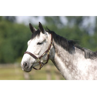 Cabresto Excelsior com ajuste duplo Preto