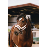 Cabresto de nylon Equithème Fashion Castanho