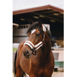 Cabresto de nylon Equithème Fashion Castanho