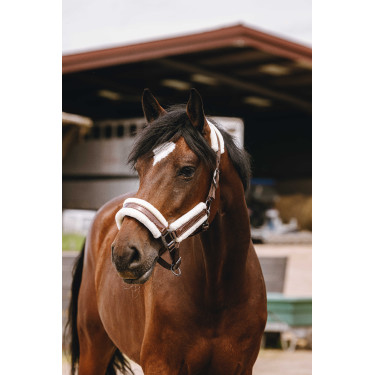Cabresto de nylon Equithème Fashion Castanho