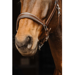 Cabezada de couro Norton Rock Havana Castanho