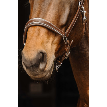 Cabezada de couro Norton Rock Havana Castanho