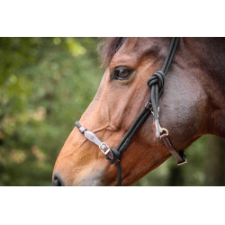 Cabresto Pénélope Etológico Havana / preto Castanho Cabresto Pénélope Etológico Havana / preto Castanho