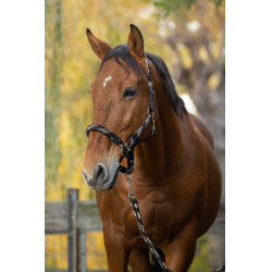 Caveirão + guia Equitheme Trançado Bege / chocolate / preto