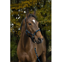 Caveirão + guia Equitheme Trançado Turquesa / marinho / preto Azul