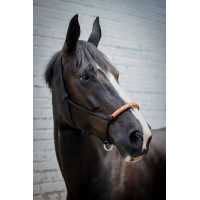 Cabresto etológico Pénélope americano Preto