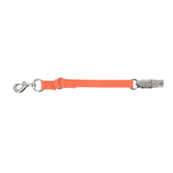 Longe de transporte fluorescente Longe de transporte fluorescente