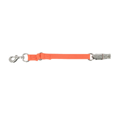 Longe de transporte fluorescente Longe de transporte fluorescente