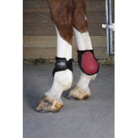 Protetor de boleto Norton Fleece