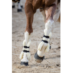 Guêtres Norton XTR com botões e lã sintética Azul-marinho Guêtres Norton XTR com botões e lã sintética Azul-marinho