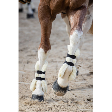 Guêtres Norton XTR com botões e lã sintética Azul-marinho Guêtres Norton XTR com botões e lã sintética Azul-marinho