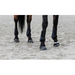 Guêtres Equithème Preto