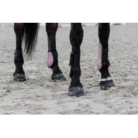 Guêtres Equithème Preto