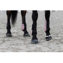 Protetor de boleto Equithème Rosa