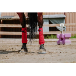 Bandagens de polo Equithème em conjunto de 4 Bandagens de polo Equithème em conjunto de 4