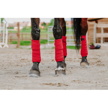 Bandagens de polo Equithème em conjunto de 4 Bandagens de polo Equithème em conjunto de 4