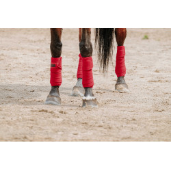 Bandagens de polo Equithème em conjunto de 4 Bandagens de polo Equithème em conjunto de 4