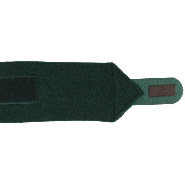 Bandagens de polo Equithème em conjunto de 4 Verde escuro Bandagens de polo Equithème em conjunto de 4 Verde escuro