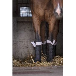 Guêtres de descanso Norton