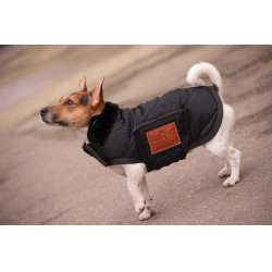 Capa para cão Diagonal Paddock Sports