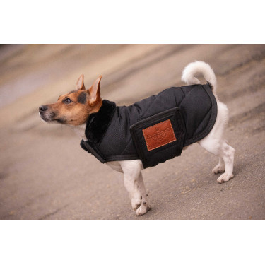 Capa para cão Diagonal Paddock Sports