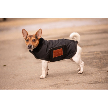 Capa para cão Diagonal Paddock Sports Preto