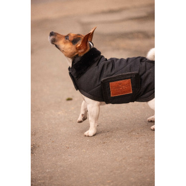 Capa para cão Diagonal Paddock Sports Preto