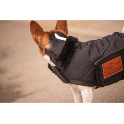 Capa para cão Diagonal Paddock Sports Preto