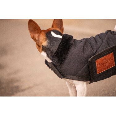 Capa para cão Diagonal Paddock Sports Preto