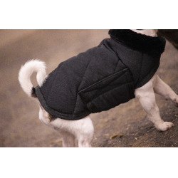 Capa para cão Diagonal Paddock Sports Preto