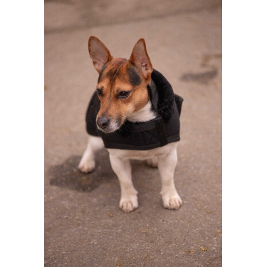Capa para cão Diagonal Paddock Sports Preto