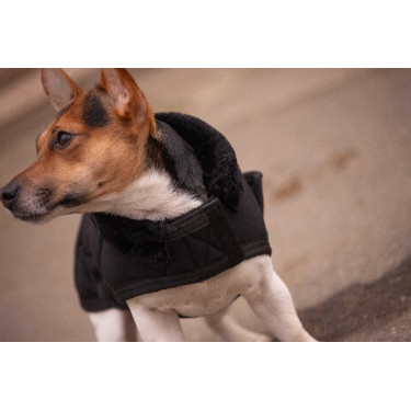 Capa para cão Diagonal Paddock Sports Preto