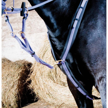 Peitoral Biotack T de T Violeta Peitoral Biotack T de T Violeta