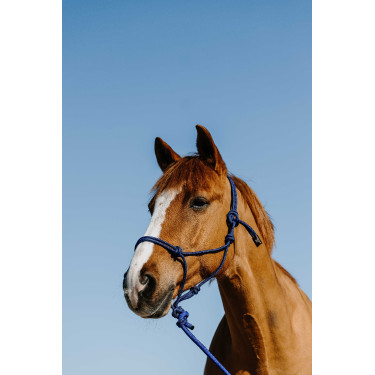 Cabresto etológico + corda guia Norton Duo Azul / preto Cabresto etológico + corda guia Norton Duo Azul / preto