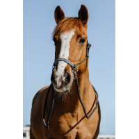 Cabresto etológico + rédeas Norton Fancy Cinzento Cabresto etológico + rédeas Norton Fancy Cinzento