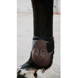 Boleteiras Norton XTR Flex Castanho