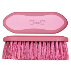 Tampa bicolor T de T Tampa bicolor T de T