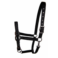 Cabresto Lami-Cell Sparkling Preto Cabresto Lami-Cell Sparkling Preto