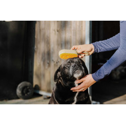 Rasqueadeira com cabo Hippotonic Vapeur Cinzento-acastanhado Castanho Rasqueadeira com cabo Hippotonic Vapeur Cinzento-acastanhado Castanho