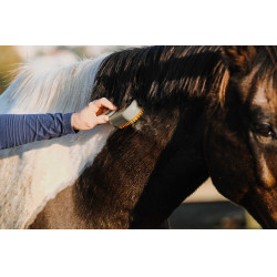 Rasqueadeira com cabo Hippotonic Vapeur Cinzento-acastanhado Castanho Rasqueadeira com cabo Hippotonic Vapeur Cinzento-acastanhado Castanho