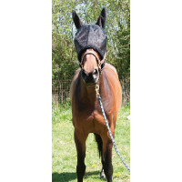 Máscara anti-moscas preta T de T Preto Máscara anti-moscas preta T de T Preto